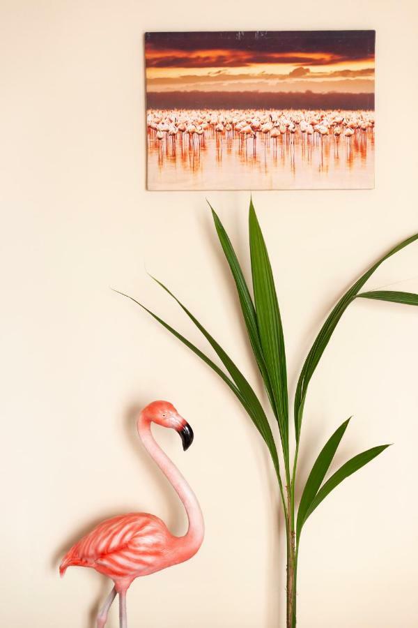Flamingo Apartment Málaga Kültér fotó