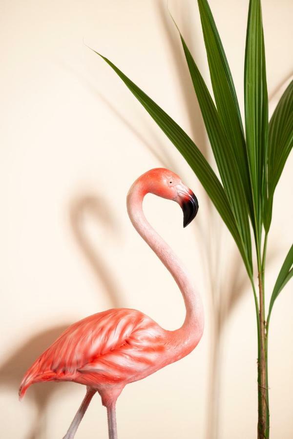 Flamingo Apartment Málaga Kültér fotó
